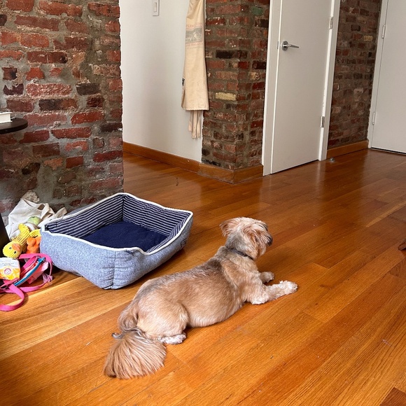 Meet your Posher, Chris - Picture 1 of 1